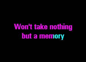 Won't take nothing

but a memory