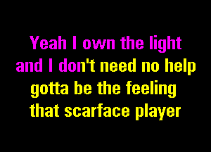 Yeah I own the light
and I don't need no help
gotta be the feeling
that scarface player