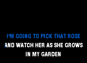 I'M GOING TO PICK THAT ROSE
AND WATCH HER AS SHE GROWS
IN MY GARDEN