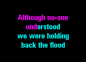 Although no-one
understood

we were holding
back the flood