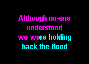 Although no-one
understood

we were holding
back the flood