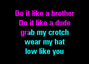 Do it like a brother
Do it like a dude

grab my crotch
wear my hat
low like you