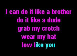 I can do it like a brother
do it like a dude

grab my crotch
wear my hat
low like you