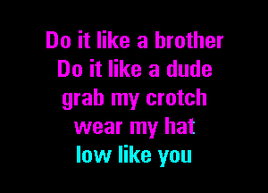 Do it like a brother
Do it like a dude

grab my crotch
wear my hat
low like you