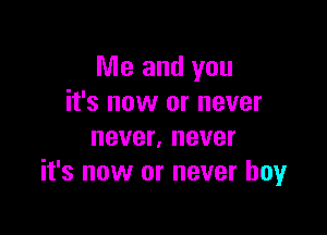 Me and you
it's now or never

never, never
it's now or never boyr