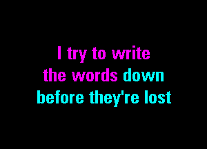 I try to write

the words down
before they're lost