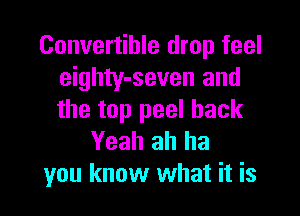 Convertible drop feel
eighty-seven and

the top peel back
Yeah ah ha
you know what it is