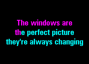 The windows are

the perfect picture
they're always changing