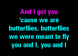 And I got you
'cause we are

butterflies, butterflies
we were meant to fly
you and I, you and I