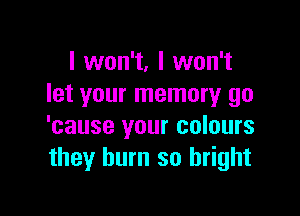 I won't, I won't
let your memory go

'cause your colours
they burn so bright
