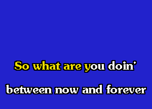 So what are you doin'

between now and forever