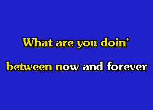 What are you doin'

between now and forever