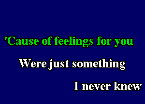 'Cause of feelings for you

W ere just something

I never knew