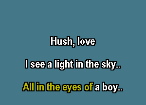 Hush, love

I see a light in the sky..

All in the eyes of a boy..