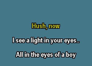Hush, now

I see a light in your eyes..

All in the eyes of a boy
