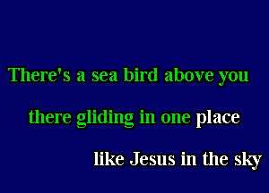 There's a sea bird above you
there gliding in one place

like Jesus in the sky