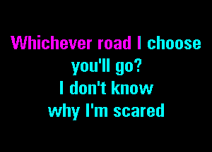 Whichever road I choose
you'll go?

I don't know
why I'm scared