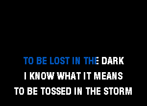 TO BE LOST IN THE DARK
I KNOW WHAT IT MEANS
TO BE TOSSED IN THE STORM