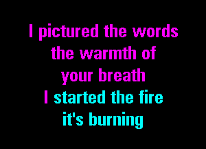 l pictured the words
the warmth of

your breath
I started the fire
it's burning