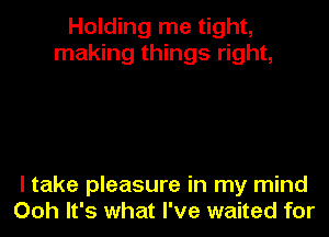 Holding me tight,
making things right,

I take pleasure in my mind
Ooh It's what I've waited for