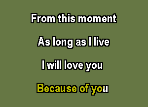 From this moment
As long as I live

I will love you

Because of you