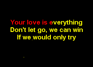 Your love is everything
Don't let go, we can win

If we would only try