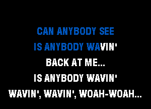 CAN ANYBODY SEE

IS ANYBODY WAVIH'
BACK AT ME...

IS ANYBODY WAVIH'

WAVIH', WAVIH', WOAH-WOAH...