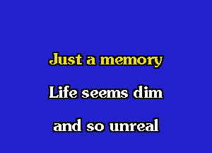 Just a memory

Life seems dim

and so unreal