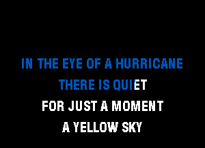 IN THE EYE OF A HURRICANE
THERE IS QUIET
FOR JUST A MOMENT
A YELLOW SKY
