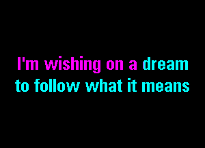 I'm wishing on a dream

to follow what it means