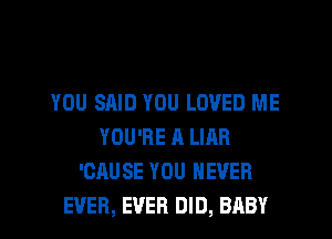 YOU SAID YOU LOVED ME
YOU'RE A LIAB
'CAUSE YOU NEVER
EVER, EVER DID, BABY