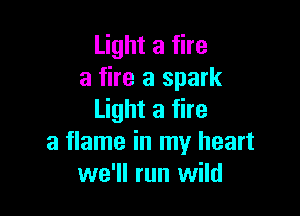 Light a fire
a fire a spark

Light a fire
a flame in my heart
we'll run wild