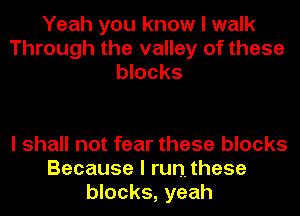 Yeah you know I walk
Through the valley of these
blocks

I shall not fear these blocks
Because I runthese
blocks, yeah
