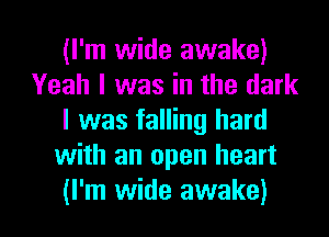 (I'm wide awake)
Yeah I was in the dark
I was falling hard
with an open heart

(I'm wide awake) I