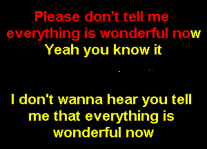 Please don't tell me
everything is wonderful now
Yeah you know it

I don't wanna hear you tell
me that everything is
wonderful now