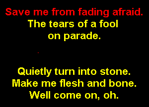 Save me from fading afraid.
The tears of a fool
on parade.

Quietly turn into stone.
Make me flesh and bone.
Well come on, oh.