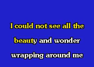 I could not see all the
beauty and wonder

wrapping around me