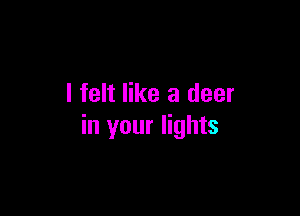 I felt like a deer

in your lights