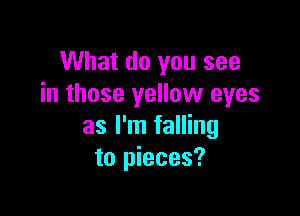 What do you see
in those yellow eyes

as I'm falling
to pieces?