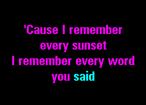 'Cause I remember
every sunset

I remember every word
you said