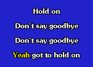 Hold on
Don't say goodbye

Don't say goodbye

Yeah got to hold on