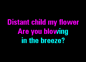 Distant child my flower

Are you blowing
in the breeze?