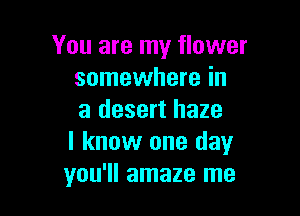 You are my flower
somewhere in

a desert haze
I know one day
you'll amaze me