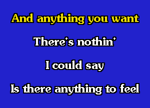 And anything you want
There's nothin'

I could say

Is there anything to feel