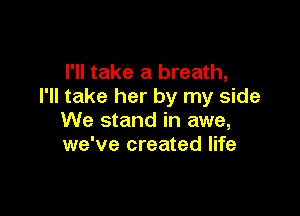 I'll take a breath,
I'll take her by my side

We stand in awe,
we've created life