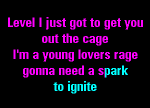 Level I iust got to get you
out the cage
I'm a young lovers rage
gonna need a spark
to ignite