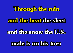 Through the rain
and the heat the sleet

and the snow the US.

male is on his toes