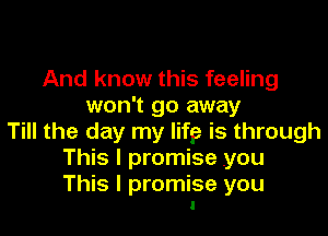 And know this feeling
won't go away

Till the day my lifge is through
This I promise you

This I promise you
I