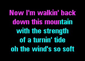 Now I'm walkin' back
down this mountain
with the strength
of a turnin' tide
oh the wind's so soft