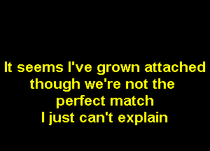 It seems I've grown attached

though we're not the
perfect match
I iust can't explain